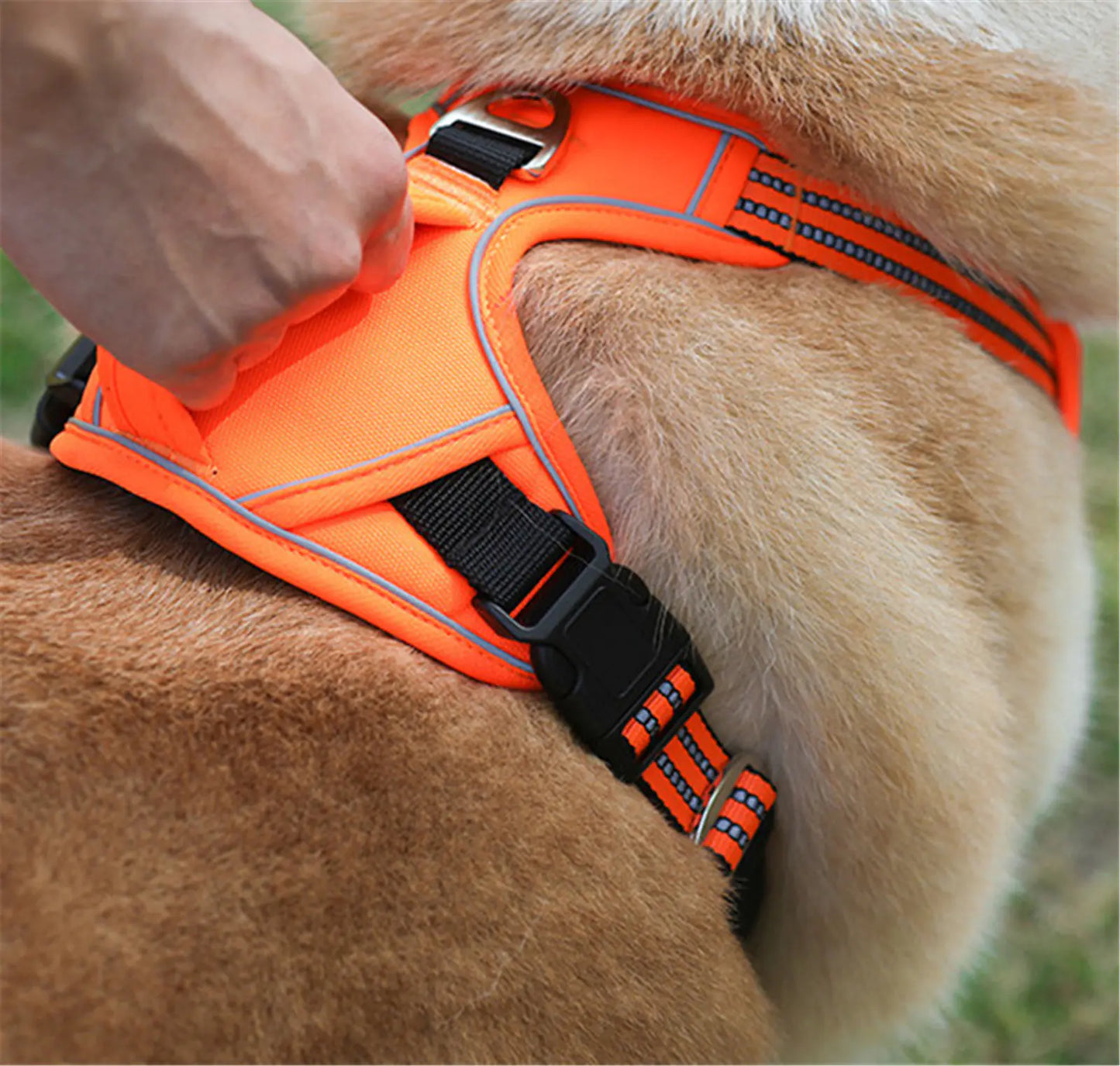 Waterproof Harness