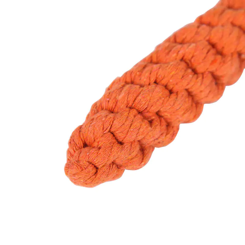 Durable Carrot Shaped Pet Chew Toy for Dogs