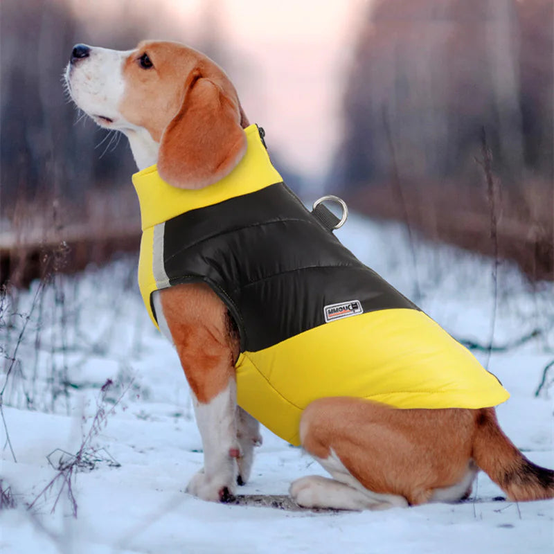 Waterproof Reflective Coat