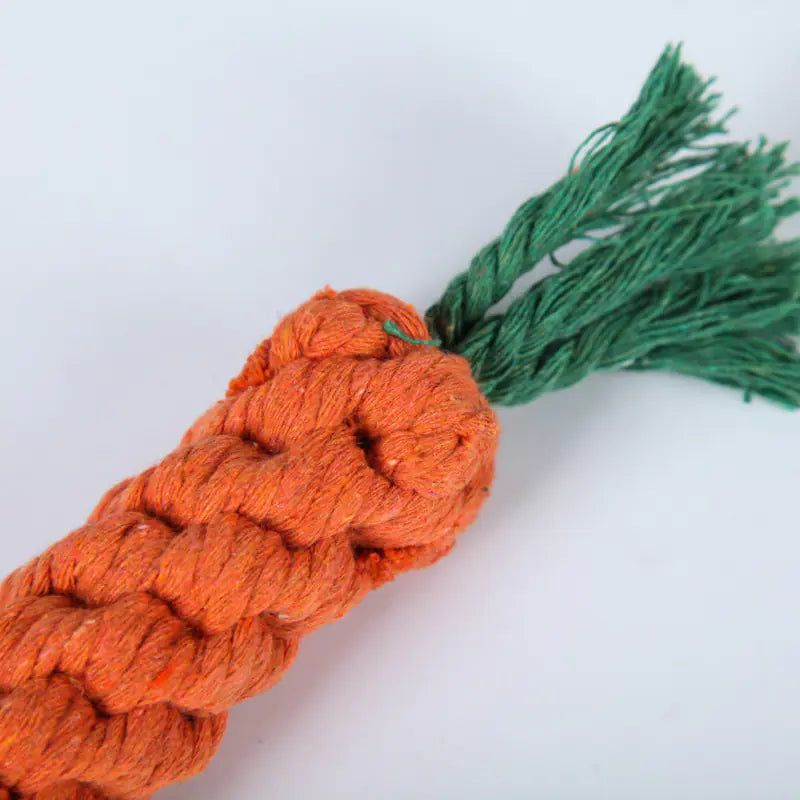 Durable Carrot Shaped Pet Chew Toy for Dogs