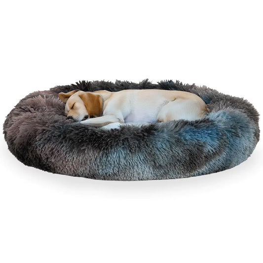 JUMBO BED