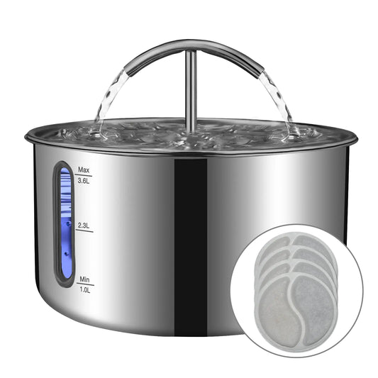 Automated water dispenser