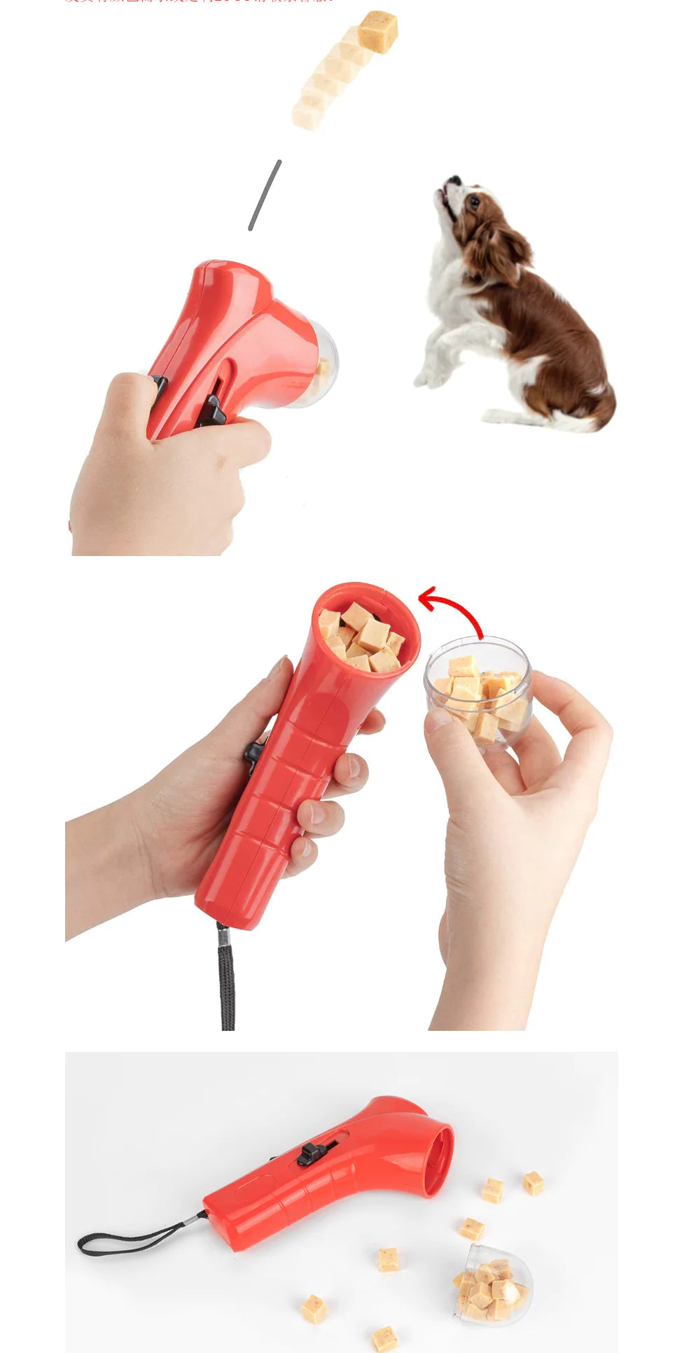 Interactive Feeder